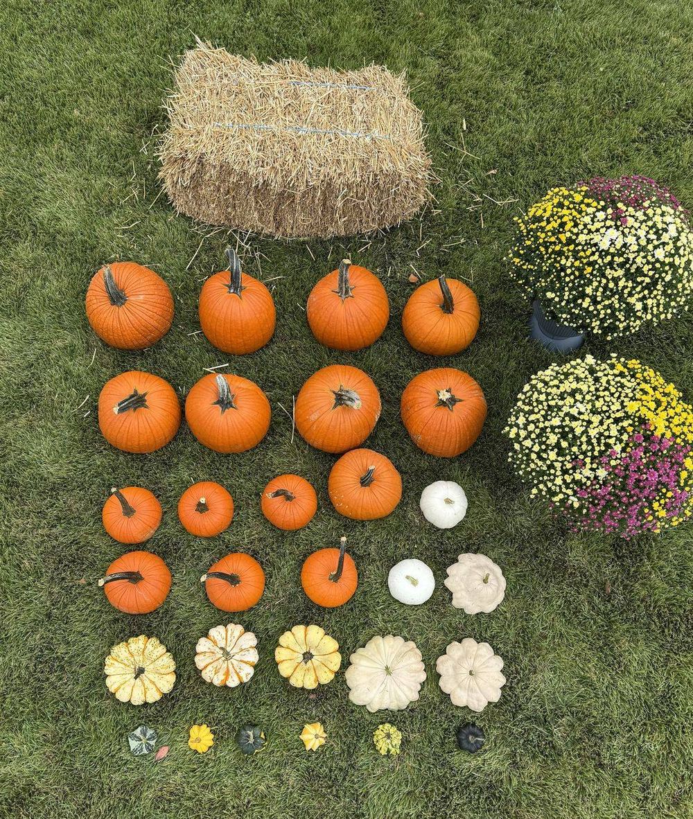 Everything in a Full Porch laid out on grass: orange pumpkins, white and striped specialty pumpkins, mini gourds, 2 mums and a hay bale